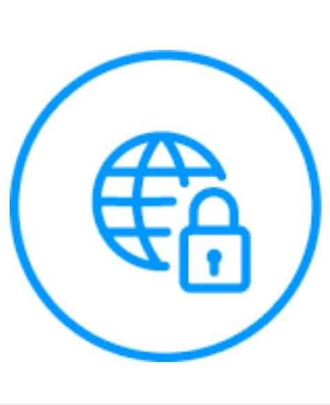 Icon with web symbol and a lock 