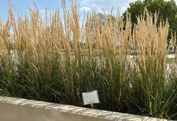 Plant identification tags on Kankakee Community College Riverfront Campus
