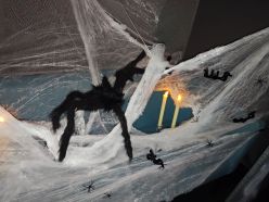 Spiders on spider web Spiders on spider web