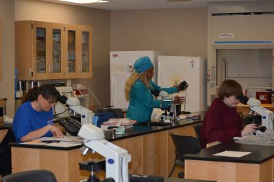 Students work in KCC’s Medical Laboratory Technology lab
