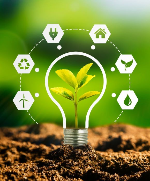 Light bulb with plant inside it -- and sustainability icons